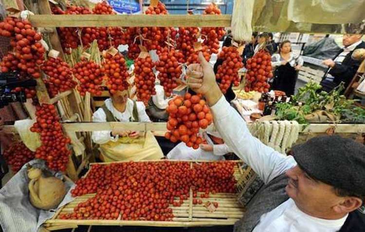 Hanging tomatoes at the Salone del Gusto