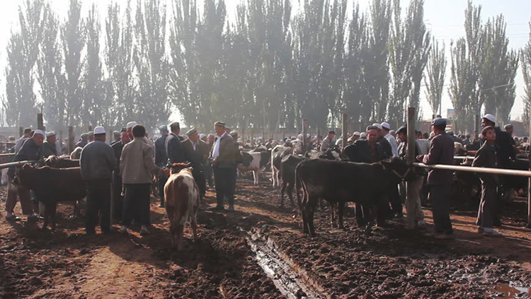 Folk Dastan of Uyghur, Kazakh and Kyrgyz in Xinjiang