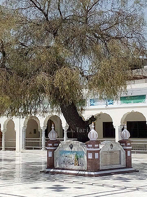 Gurdwara Nankana Sahib