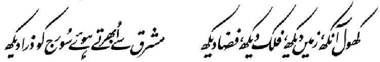 Iqbal, the Visionary - Allama Muhammad Urdu Poetry