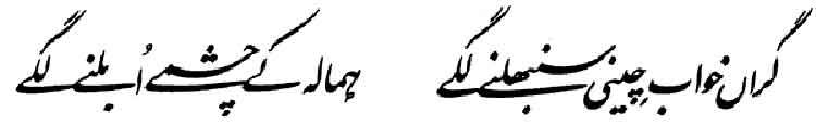 Iqbal, the Visionary - Allama Muhammad Urdu Poetry