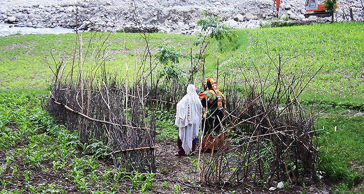 Kalash Valley