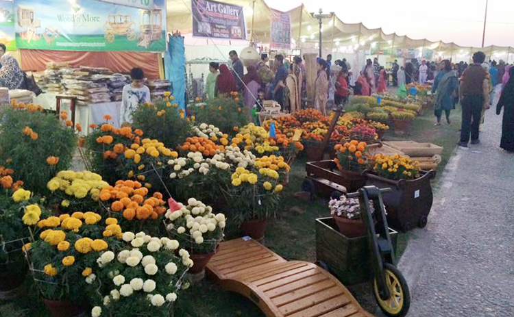 Karachi Annual Flower Show 2016