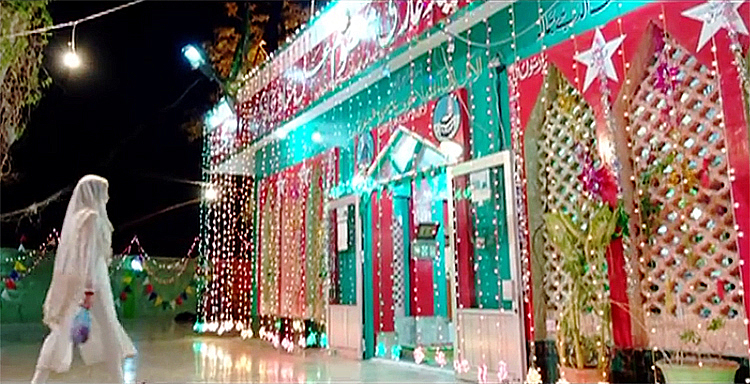 Pakistani Film Mah-e-Mir Review