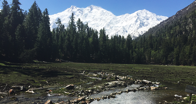 Travel to Fairy Meadows