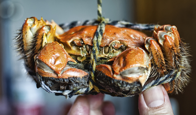 Jiangsu Cuisine