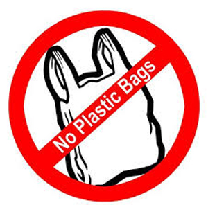 Alternative to Plastic Bags?