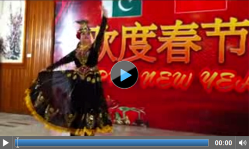 Celebrating the chinese new year with the Pakistan-China Institute