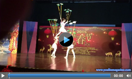 Chinese New Year celebrations 2015