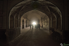 The World Beneath the Lahore Fort
