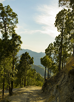 The Undiscovered Beauty of Muzaffarabad