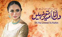 TV Drama Review: Dil Na Umeed Tou Nahi (Don