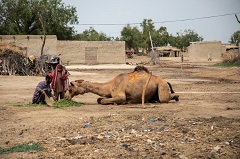 Jhal Magsi: In the Heart of Balochistan