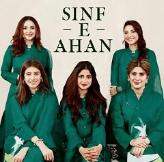 Sinf-i-Aahan: Women of Steel rule the TV screen
