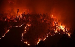 谢拉尼森林大火:来自大自然的又一警钟