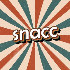 Food Review: Does Snacc need an upgrade?