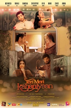 Film Review: Teri Meri Kahaniyaan (Your and My Stories)