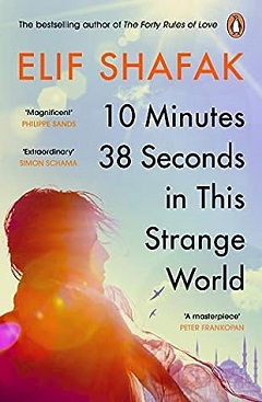 书评：《这个陌生世界中的 10 分 38 秒》