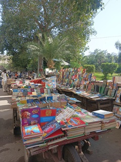 Kitaabain aur Khaanay (Books and Food): A Sunday Book Bazaar and Anarkali Itinerary