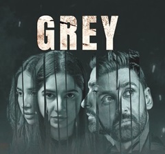 Grey: A Questionable Exploration of Harassment Allegations