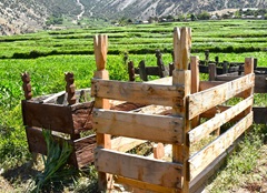 Wooden Funerary Monuments in Khyber Pakhtunkhwa