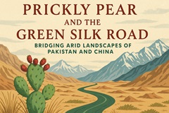 Prickly Pear and the Green Silk Road: Bridging Arid Landscapes of Pakistan and China