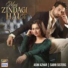 Drama Review: Meri Zindagi Hai Tu
