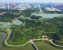 Beijing: Eco Bonus Brought by Forest Parks