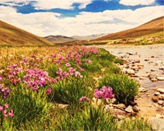 Book Review: Colors of Deosai - A Wonderland of Pakistan by Arif Amin and Ghulam Rasool
