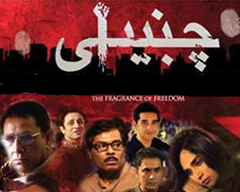 FRAGRANCE OF FREEDOM: CHAMBAILI AND THE NEW LOLLYWOOD
