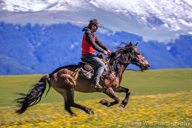Horse Culture Tourism Booming in Xinjiang - Youlin Magazine
