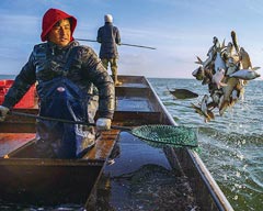 Internet+ helping Fuhai Fishery to Embrace a New Opportunity