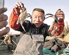 Jiaozhou Fisherman Becomes 