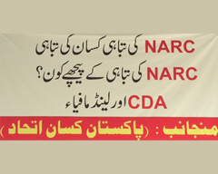 NARC: A Story of Collusion between CDA & the Land Mafia