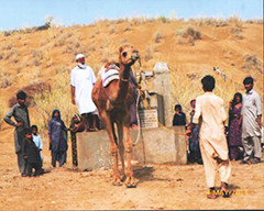 Nassim Ahmad - Maintaining the Cycle of Life in Thar Desert