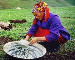 Organic Food of China