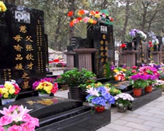 Qingming Festival (The Mourning Day), 2018