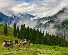 Silk Road: Naran Valley-V