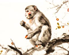 The Monkey in Chinese Culture