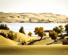 The Restoration of Taitema Lake