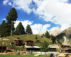 Meeting the Mammoth Part I: Trekking Up to Fairy Meadows