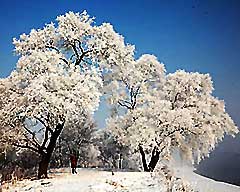 Visit the Best Snowscapes in China!