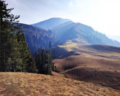 Visiting Shogran and Paye Meadows