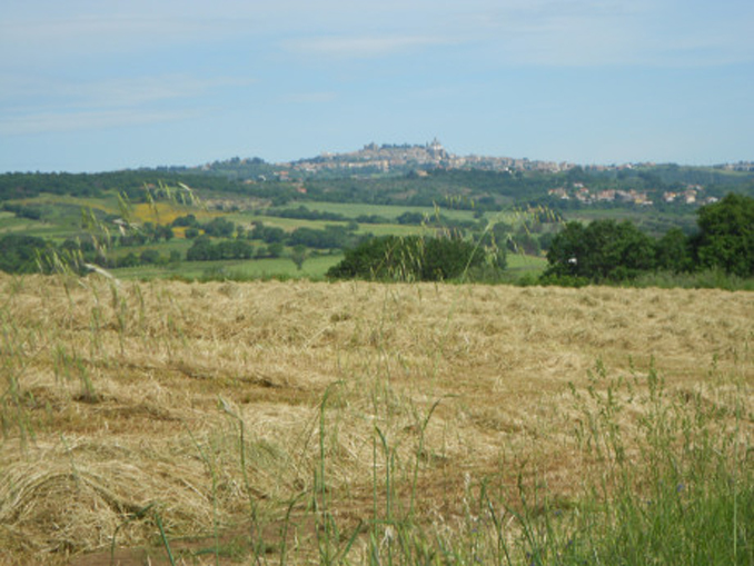 WALKING IN CENTRAL LAZIO