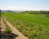 WALKING IN TUSCANY