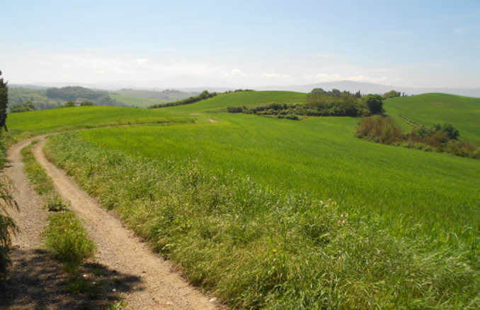 WALKING IN TUSCANY