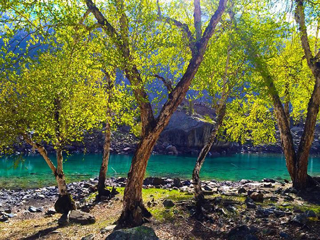 Naltar Valley