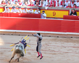 Discovering Spain: The Thrill and Gore at Pamplona