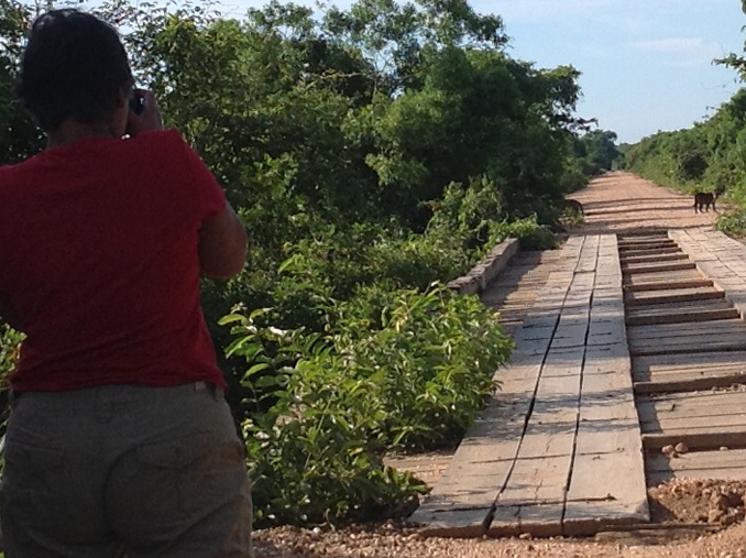 BRAZILIAN ODYSSEY: PART III - PANTANAL: IN SEARCH OF JAGUARS